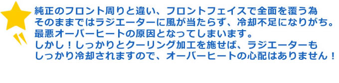 純正のフロント周りと違い